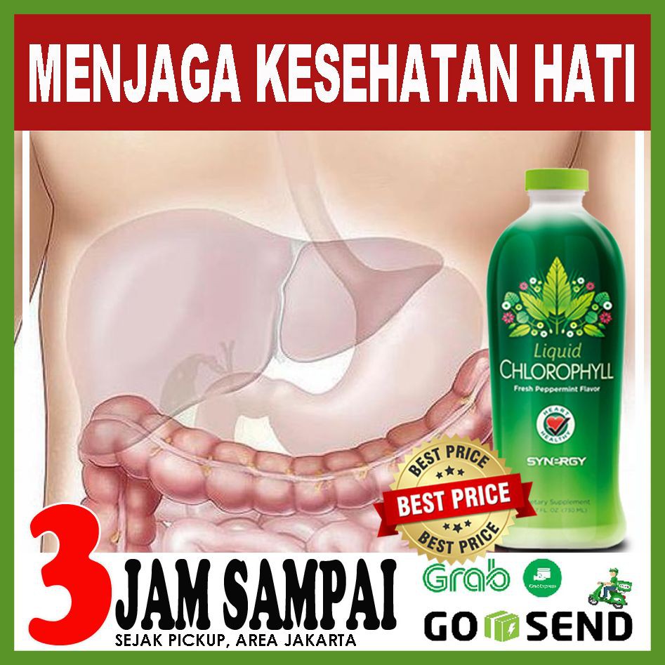 

PAKET HERBAL MENJAGA KESEHATAN HATI Banyak Testimoni