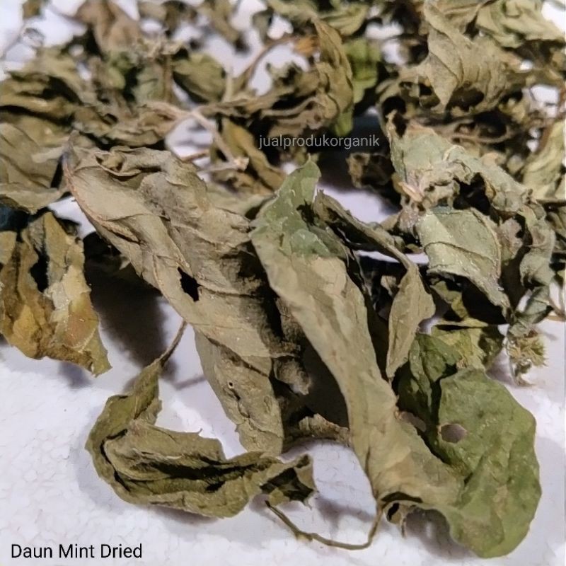 

Daun Mint Kering 10 gr Dried Spearmint Organic