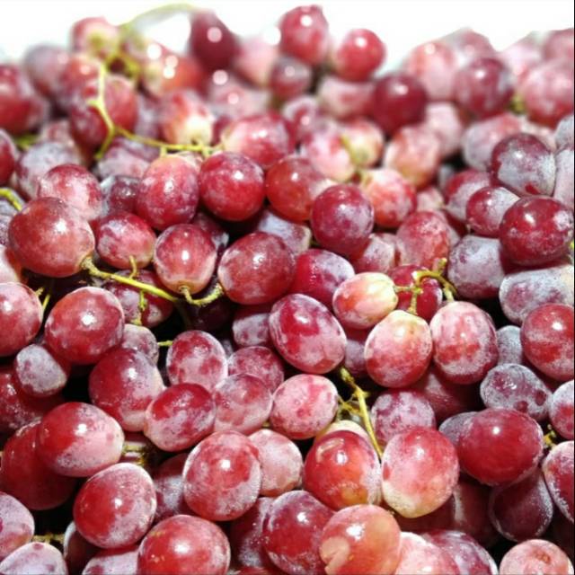 

Anggur Merah Australia 1kg