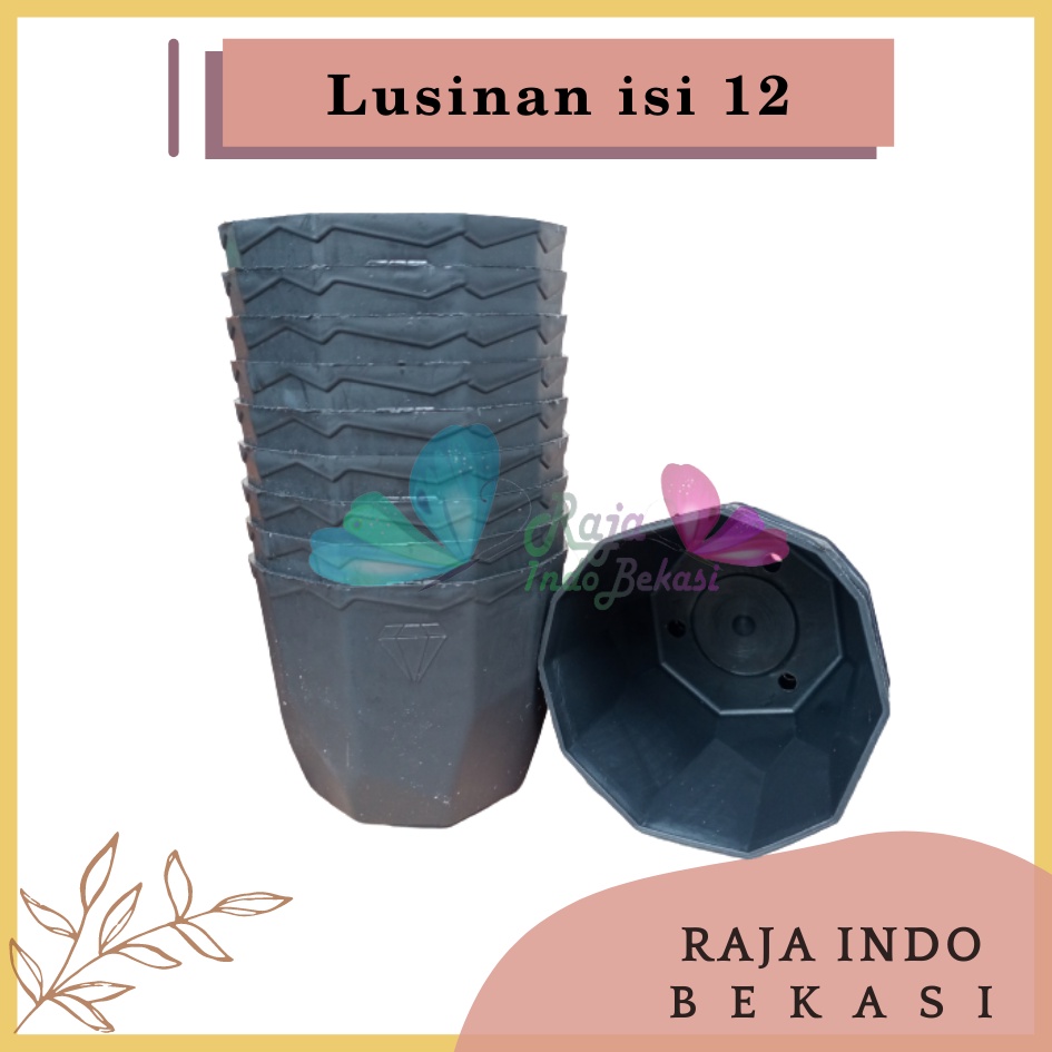 Lusinan Isi 12 Pcs Pot Permata 8CM Hitam Pot 8 Cm Putih Pot Plastik Kaktus Mini Lucu Murah Grosir