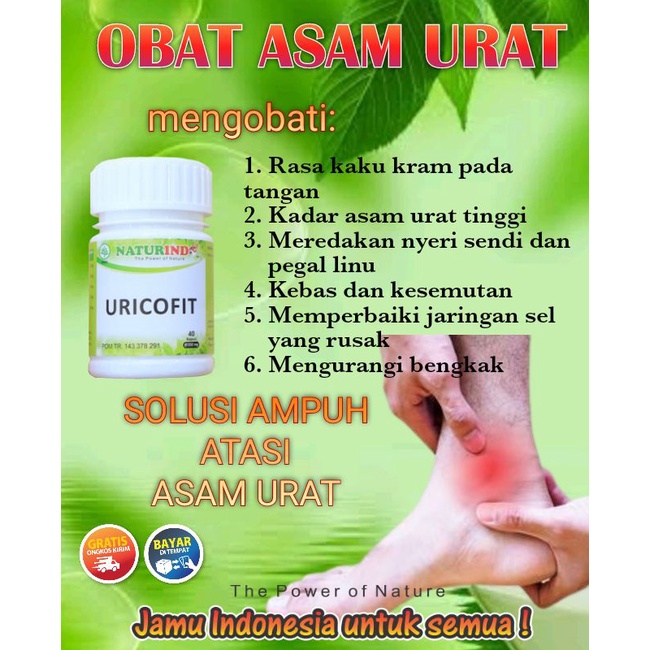 OBAT ASAM URAT OBAT ASAM URAT DAN KOLESTEROL NYERI SENDI OBAT HERBAL ASAM URAT ASAM URAT OBAT KOLEST