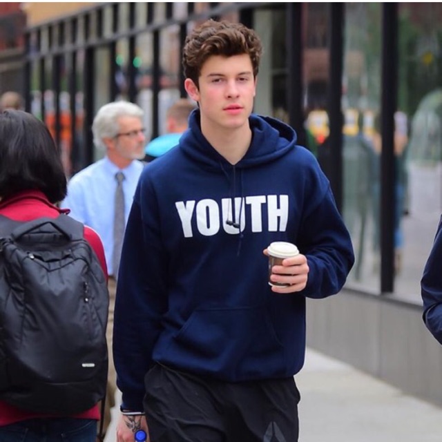 shawn mendes youth sweater