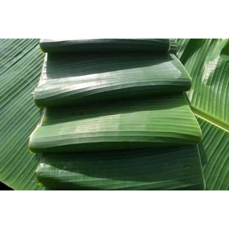 

Daun pisang segar 1 kg