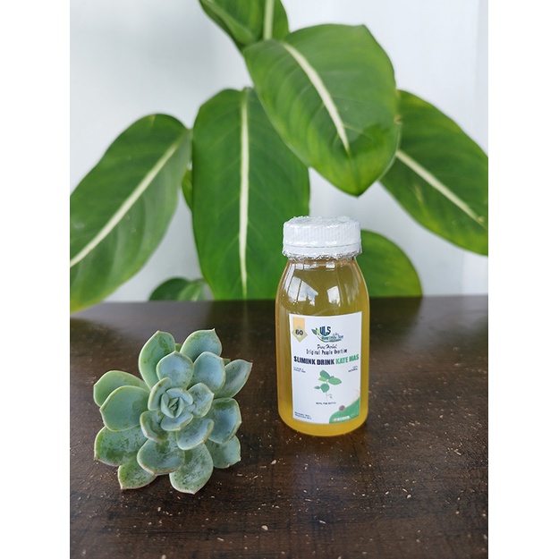 

Minuman Penunrun Berat Badan Daun Patikan Mas 60 Ml / Daun Kate Mas Cair