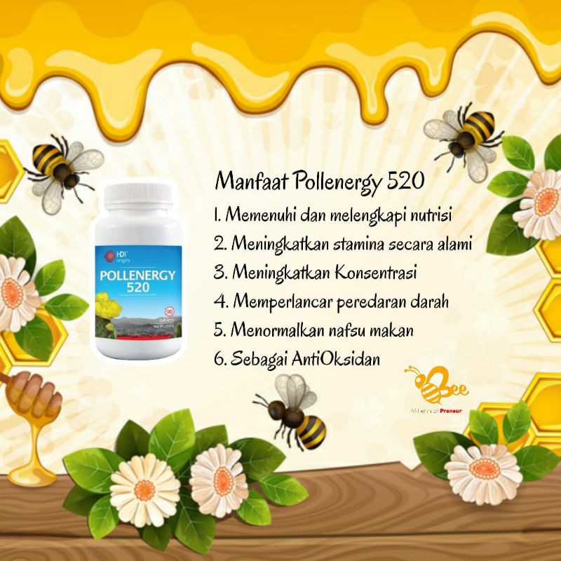 pollenergy 520  (90 tablet) - original