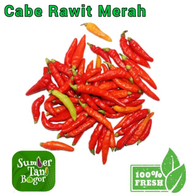 

CABE RAWIT MERAH PER 500 GRAM