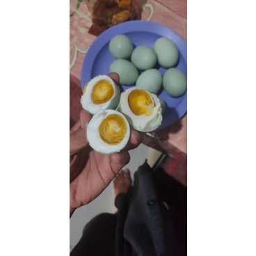 

Telor Asin asli Brebes (isi 30 pcs)