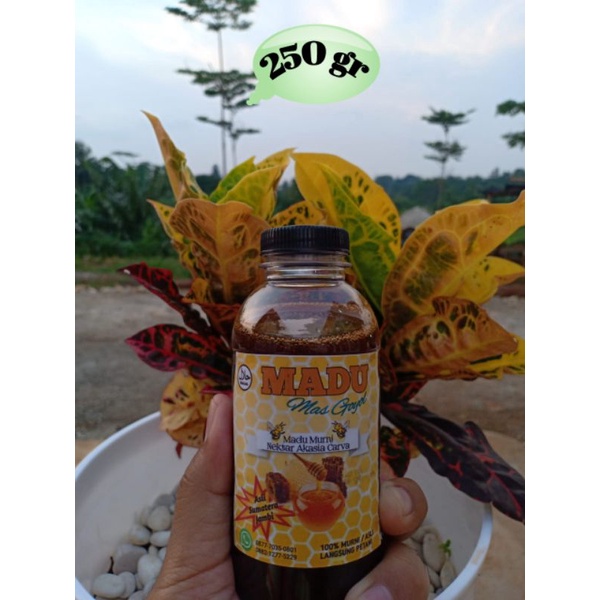 

Madu ASLI MURNI 100% [ MADU Mas Goyol ]