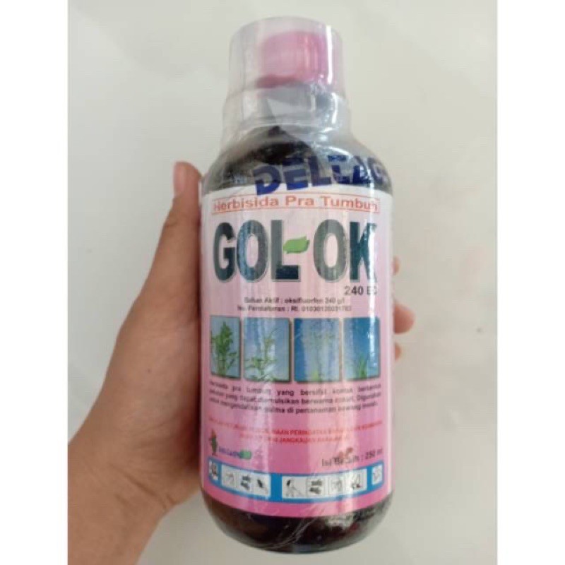 GOL-OK 240 EC herbisida pra tumbuh 500ml untuk biji rumput agar tidak tumbuh