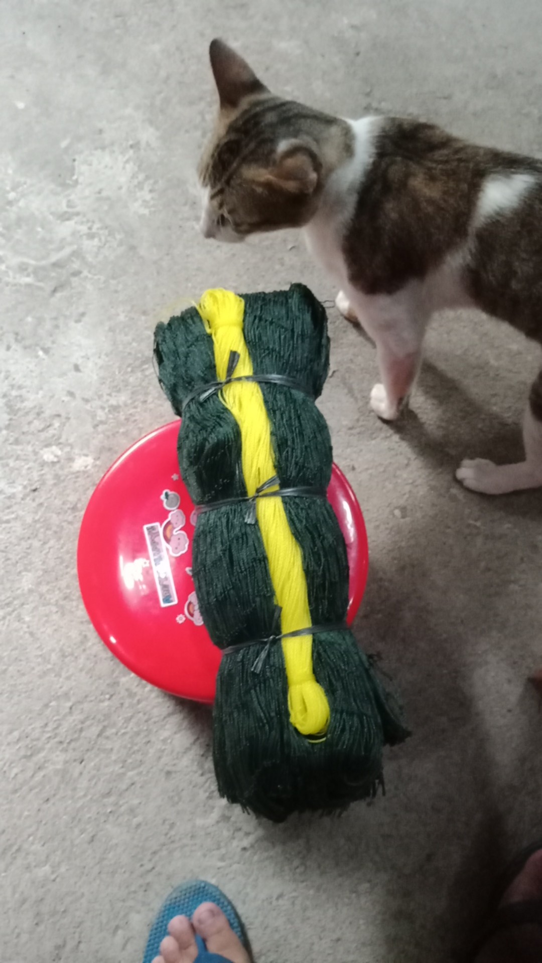 Jaring Pagar Ayam 3 Meter (size 2,5 Cm) / Jaring Serbaguna /jaring Kandang /jaring Tanaman