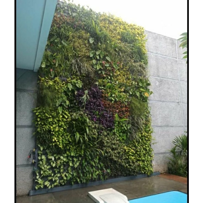 tukang taman vertikal garden - vertical garden