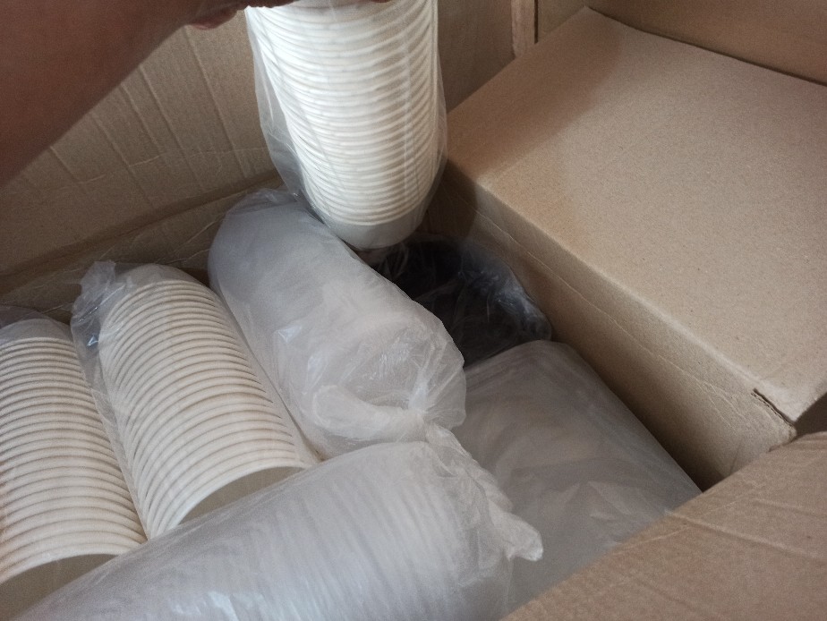 Tray Bento/mika Bento/box Bento/ Bento Sekat 4 + Tutup Bening