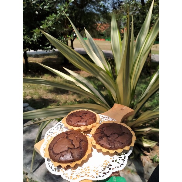 

pie brownis