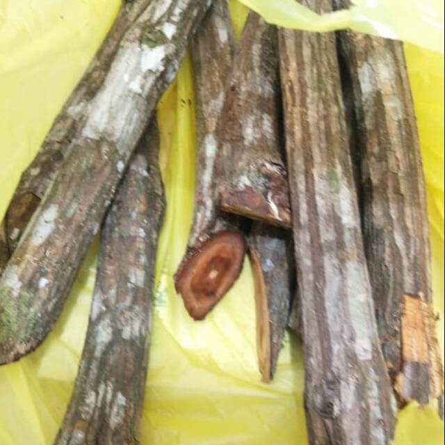Kayu bajakah asli kalimantan