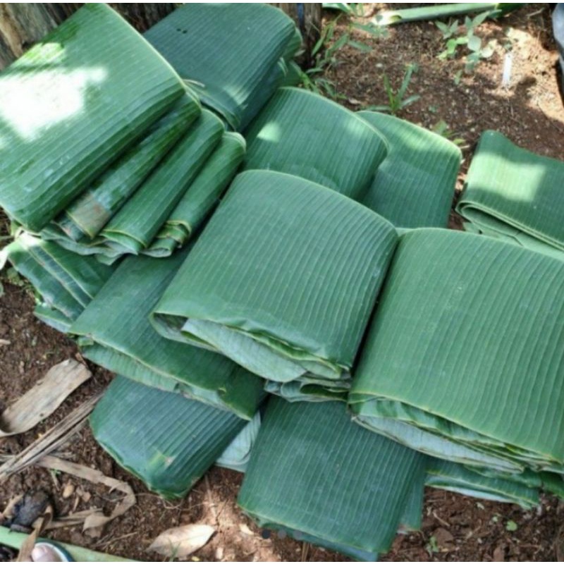 

500gr daun pisang segar untuk bungkus makanan