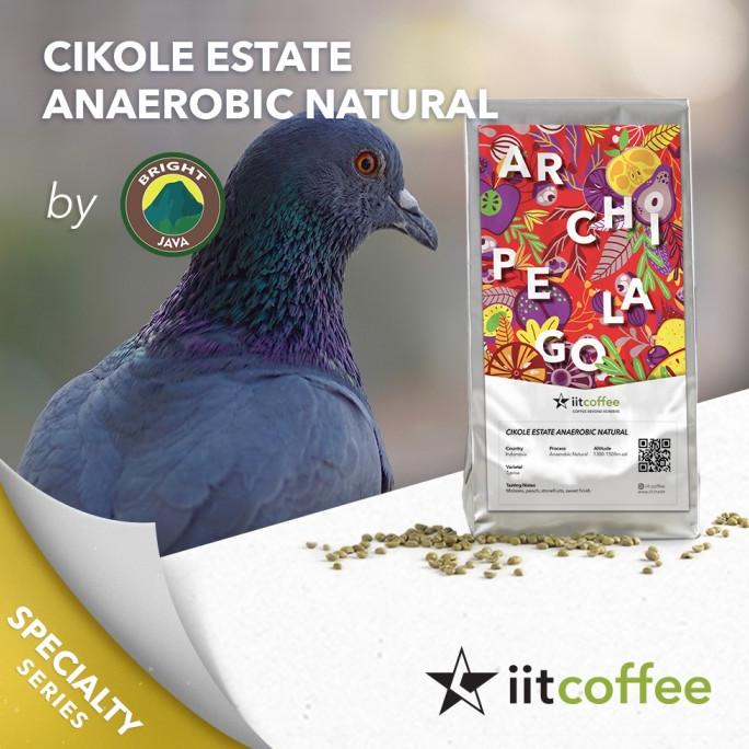 

[COD] Arabica Green Beans - Cikole Estate Anaerobic Natural - 1Kg [COD]