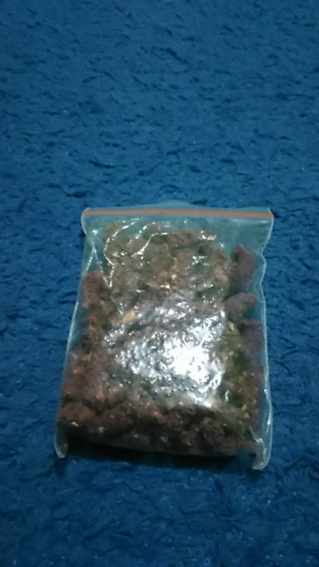 Ramtus Obat Racun Tikus Langsung Mati Kering Tidak Bau Sangat Ampuh Racun Pembasmi Tikus 1 Pack