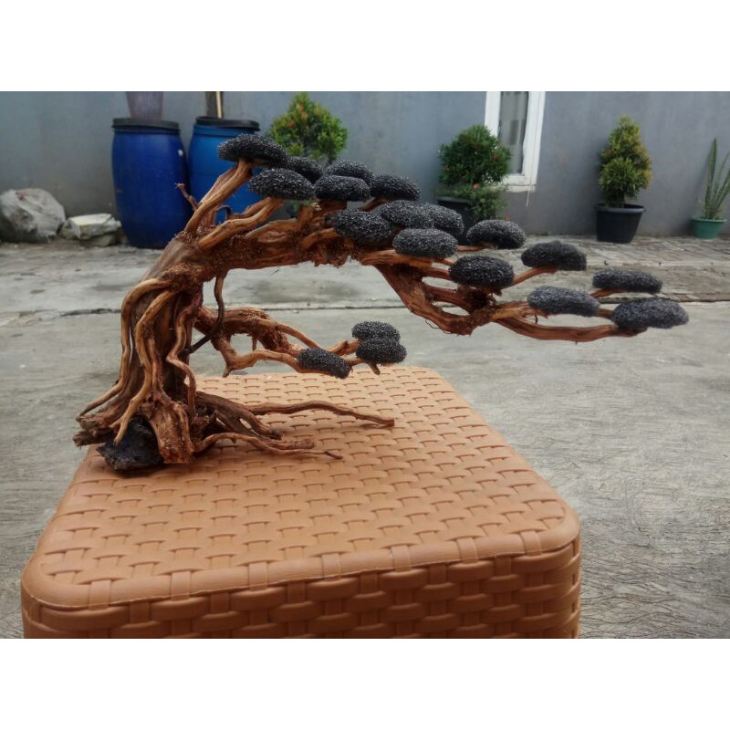 Bonsai Aquascape A.H Doyong