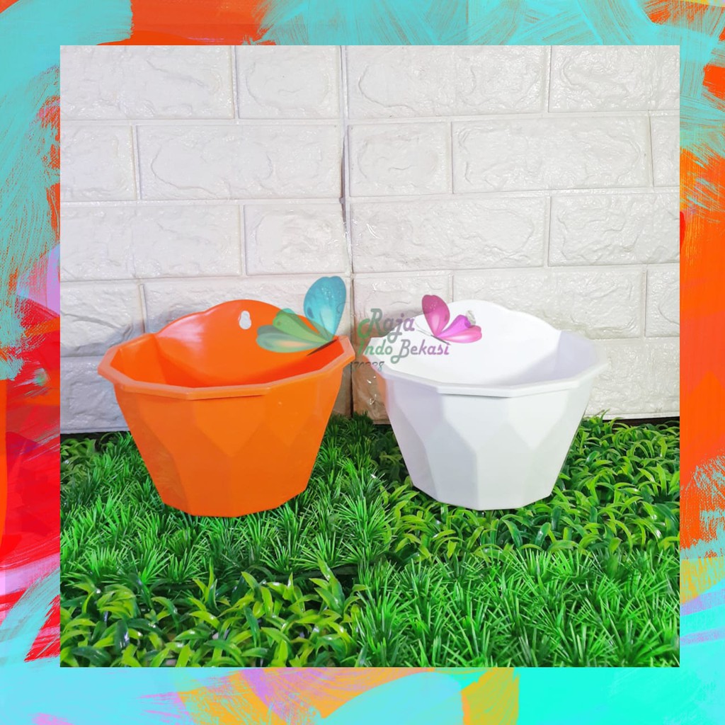 Pot Dinding Nkt Diamond 17 18 Cm Putih Orange - Pot Bunga Tanaman Anggrek Vas Bunga Plastik Dinding