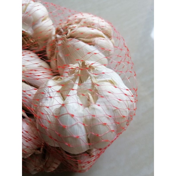 

BAWANG PUTIH TERMURAH 1/2kg bagus