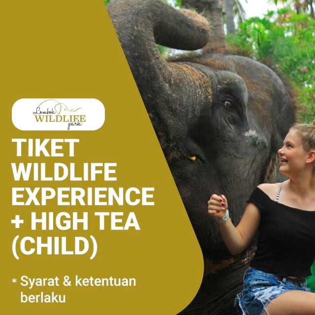 Lombok Wildlife Park -Intimate Wildlife Experience with High Tea (Child)