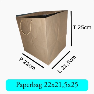 

Paperbag / Tas Kertas / Uk. 22x21,5x25 / Bahan Kraft Coklat / Polos