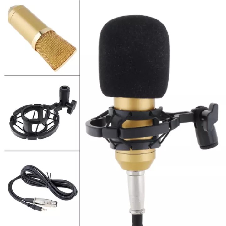 Microphone Mikrofon Kondenser BM-700 Studio dengan Shock Proof Mount