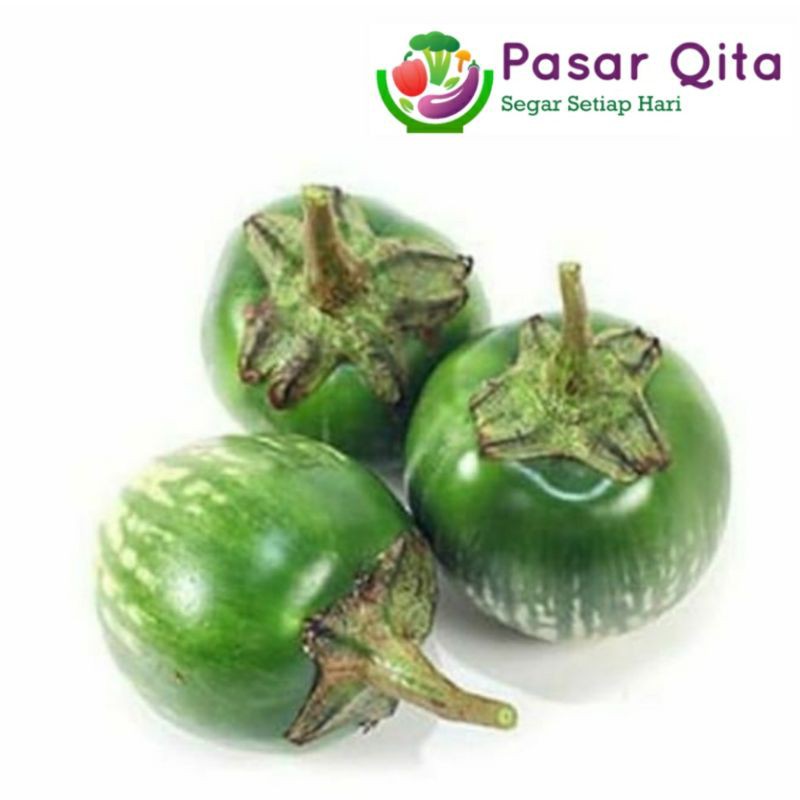 

Terong Bulat Hijau - Per 500 Gram ( Pasar Qita )