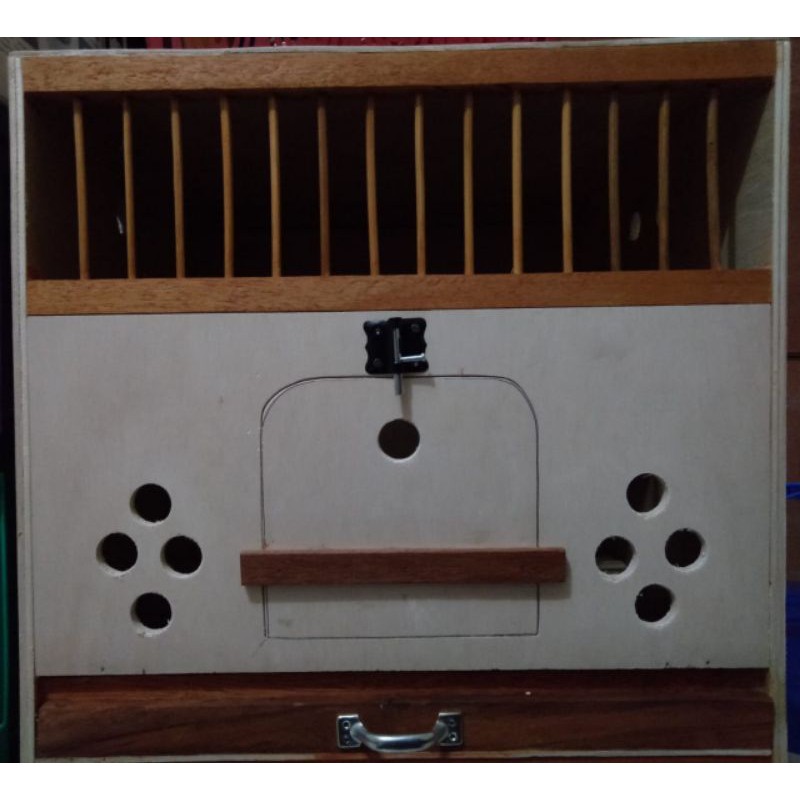 kandang merpati macan