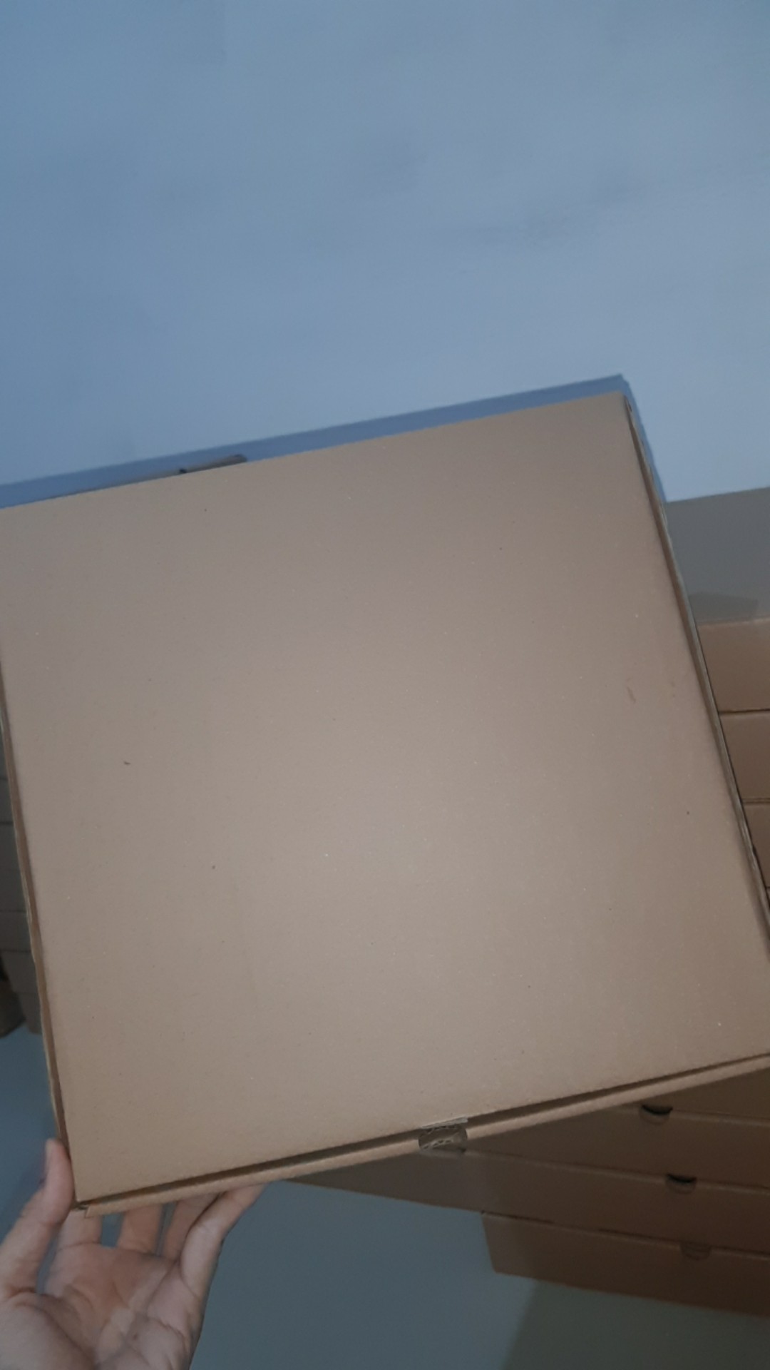 25x25x5 (10pcs) Box Pizza Eflute Kotak Kemasan Kemeja Kardus Karton Kue Hijab