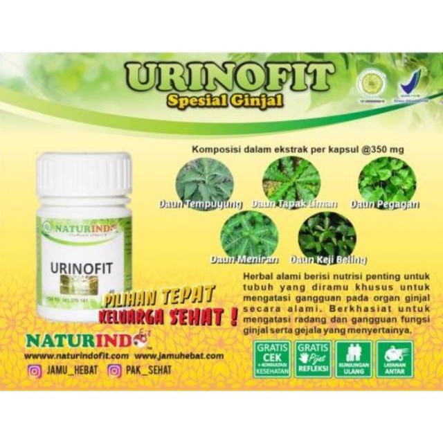 Obat Herbal Kencing Berbusa Air Kencing Bau Tak Sedap Pelancar Kencing Merawat Ginjal Alami Shopee Indonesia