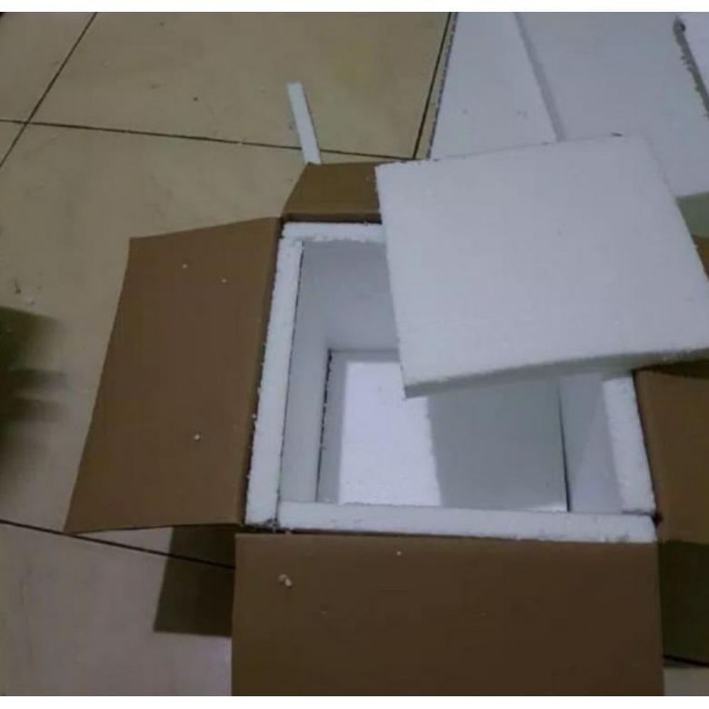 

Terbaru Pecking Tambahan Sterofom