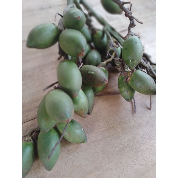 

buah pinang muda/jambe 500grm