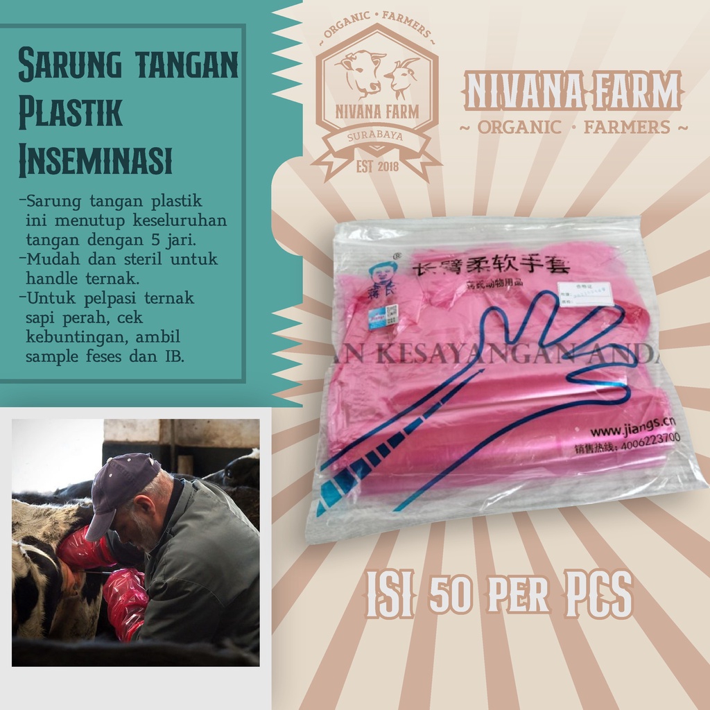 Sarung Tangan Plastik Inseminasi Plastik Glove IB Sapi Kerbau