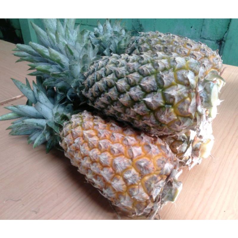 

buah nanas segar 1buah