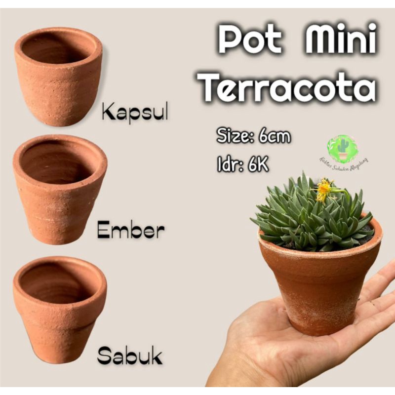 Pot Mini Terracota