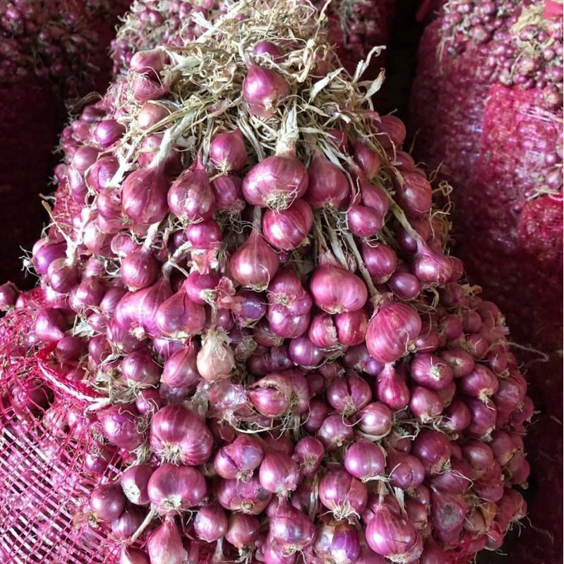 

bawang merah PEKING INDIA 500gr