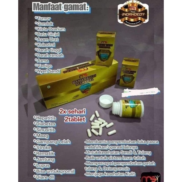 Gamat Mahkota emas MSI