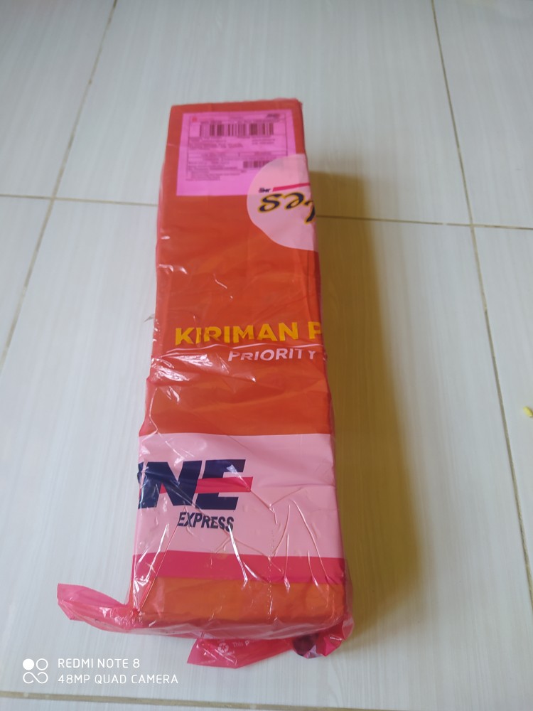 Tanaman Hias Red Maple Panama
