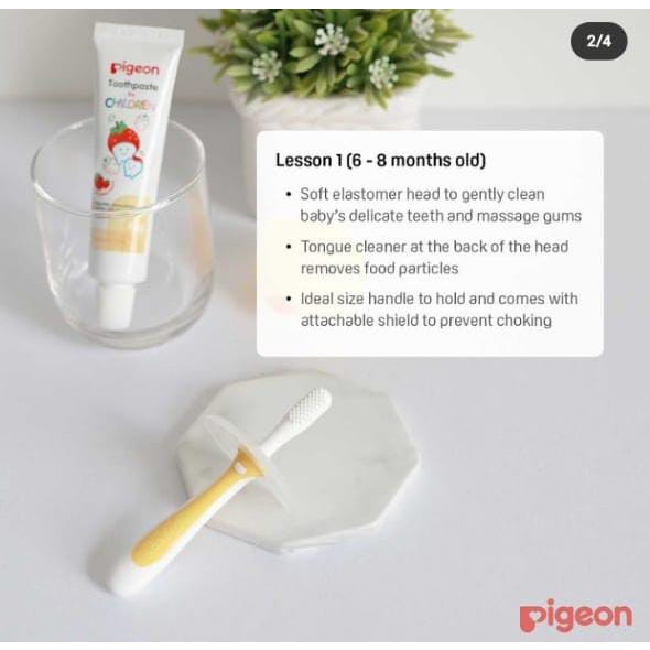 PERA26 Pigeon Training Toothbrush Lesson 1 Sikat Gigi Bayi