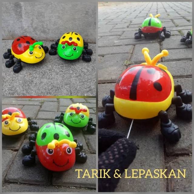Mainan Kumbang Balap Lampu Edukasi Hewan Serangga Edukatif Anak