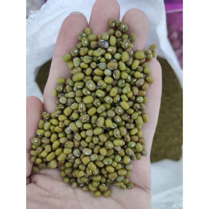 

250g kacang hijau super