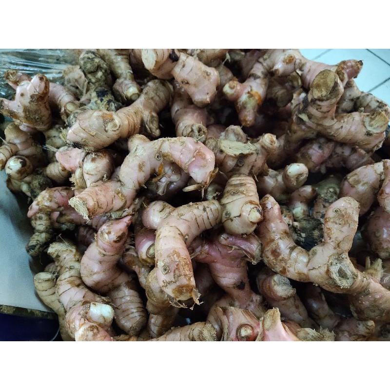 

Lengkuas Fresh 250 gr