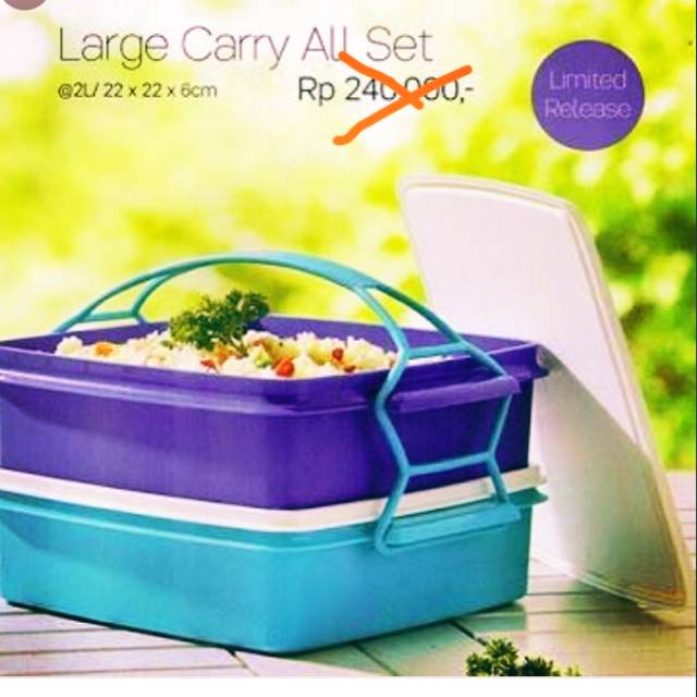 Tupperware rantang 2susun large carry all set