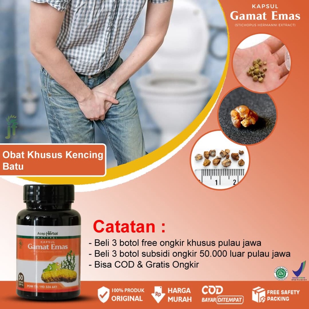 Obat Kencing Batu, Batu Ginjal, Gagal Ginjal, Infeksi Ginjal, Sakit Kencing, Kelenjar Prostat/Pembes