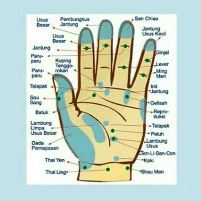 Alat Pijat Tangan Paket Refleksi Tangan Paket Pijat Refleksi Shopee Indonesia