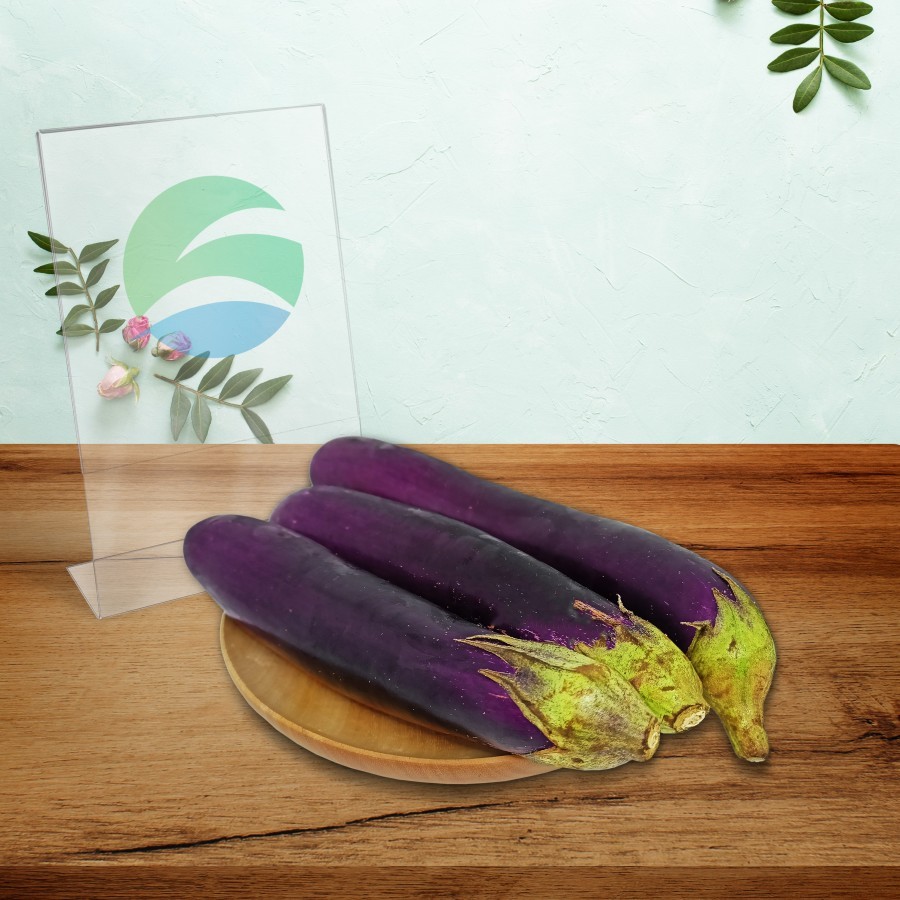 

[3KG] Eggplant / Terong Ungu