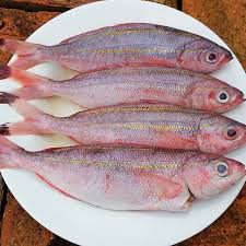 

Ikan Sinrilik Segar 1 Pack sudah dibersihkan Fresh Fish Pasar Online Makassar