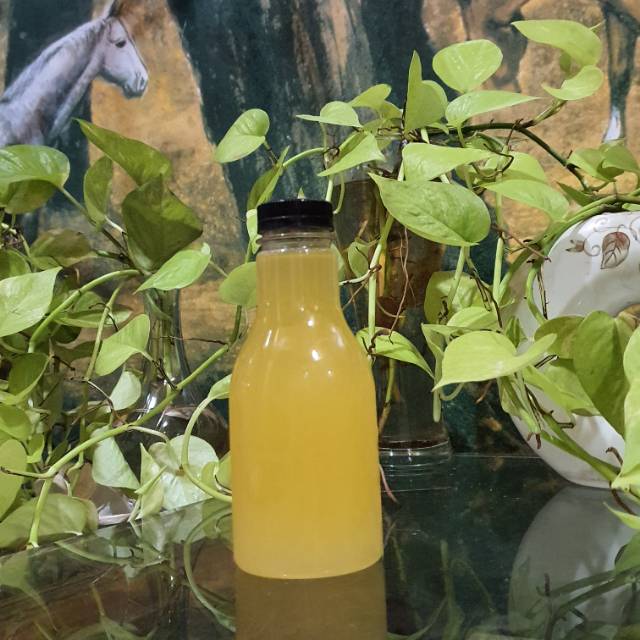 

Sari Jeruk Murni Baby Jaffa Sweet Premium 250ml