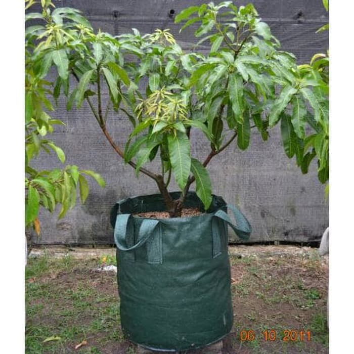 Planter Bag Hijau 300 Liter Easy Grow